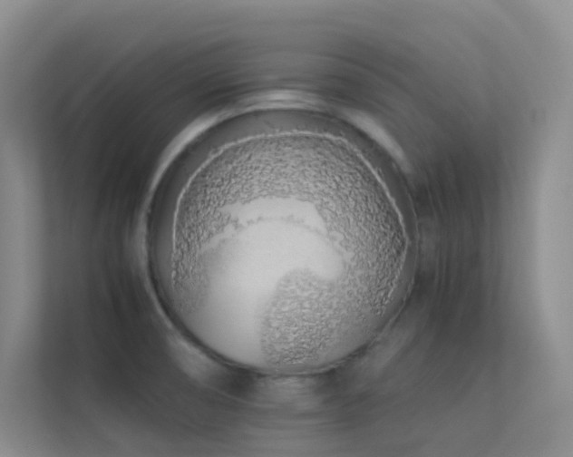 X0000113891474200909241406