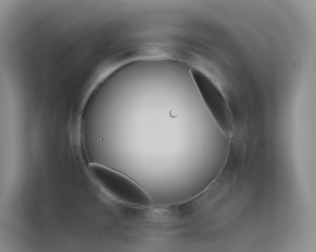 X0000113891477200909241406