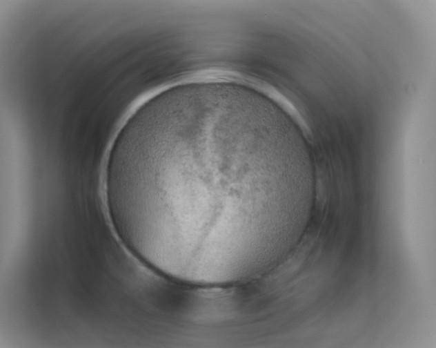 X0000113891478200909241406