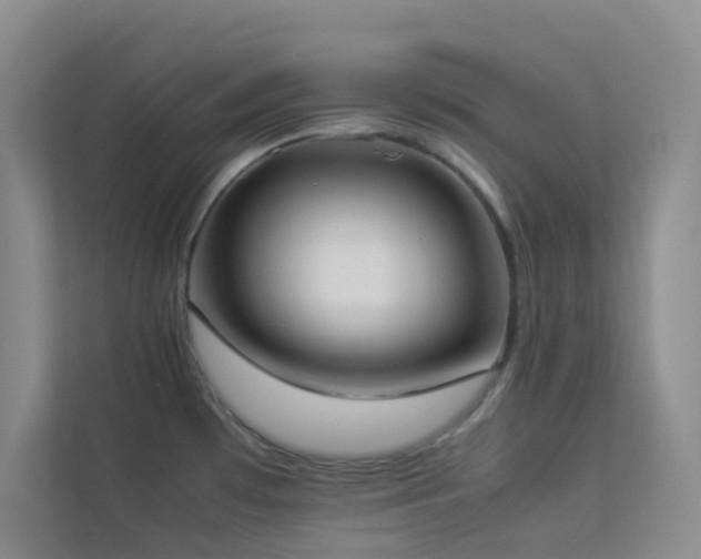 X0000113891481200909241406