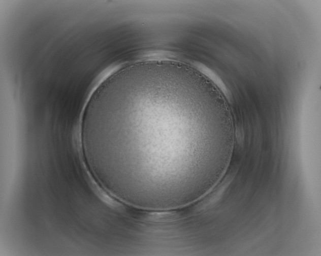 X0000113891482200909241406