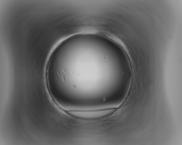 X0000113891488200909241406