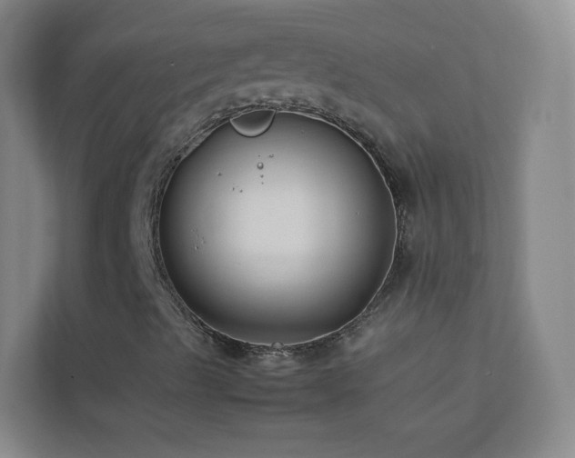 X0000113891489200909241405