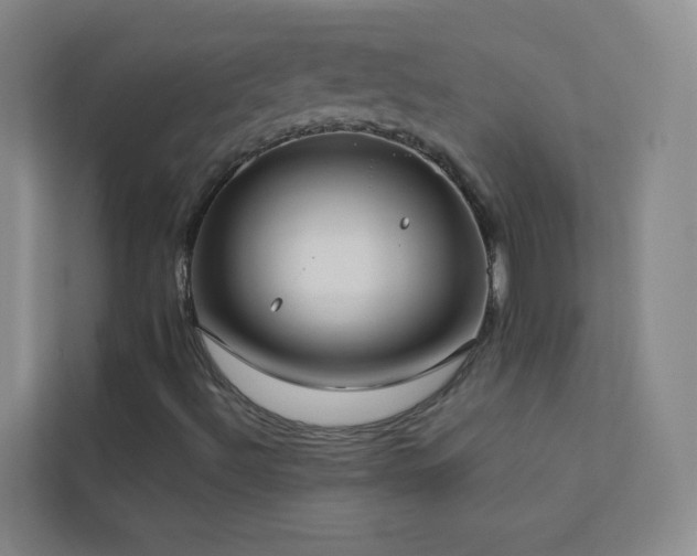 X0000113891492200909241405