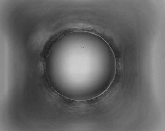 X0000113891493200909241405