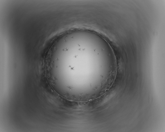 X0000113891494200909241405