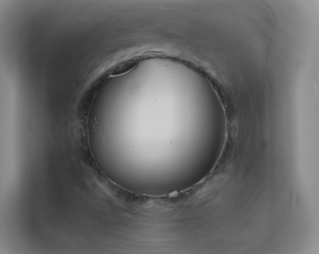 X0000113891496200909241405