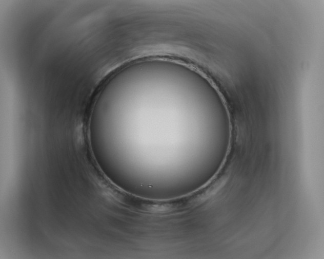 X0000113891497200909241405