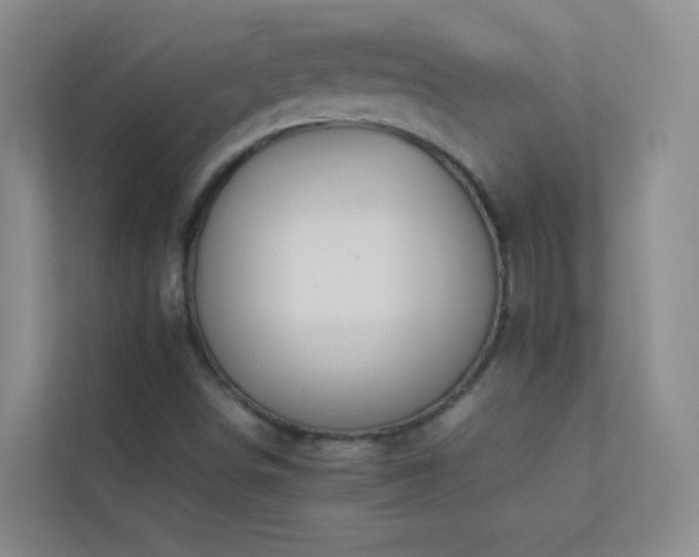 X0000113891498200909241405