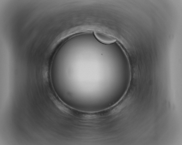 X0000113891499200909241405