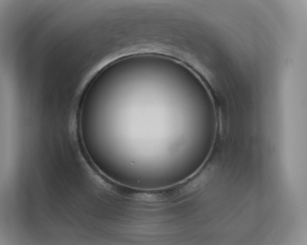 X0000113891500200909241406