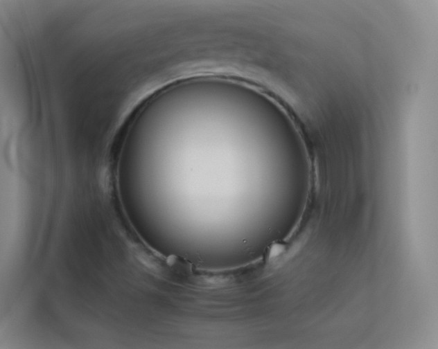 X0000113891501200909241406