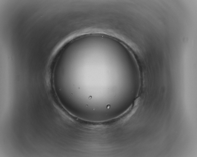 X0000113891502200909241406