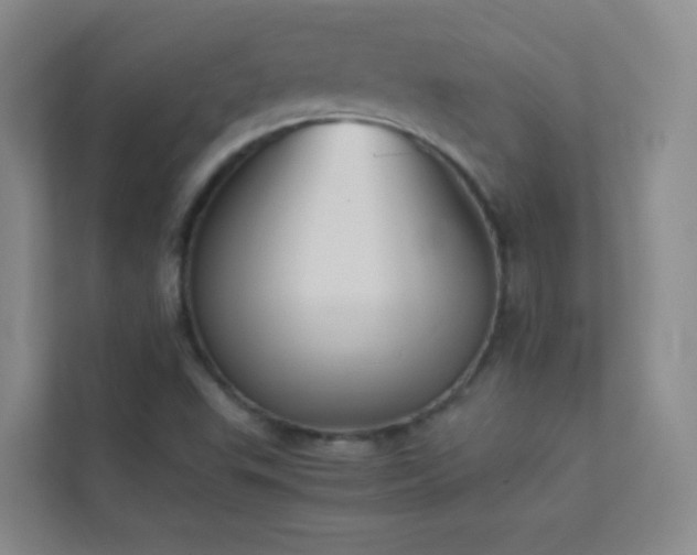X0000113891503200909241406