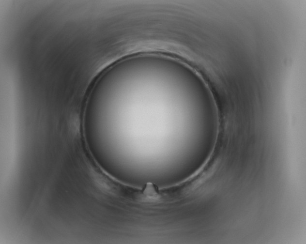 X0000113891505200909241406