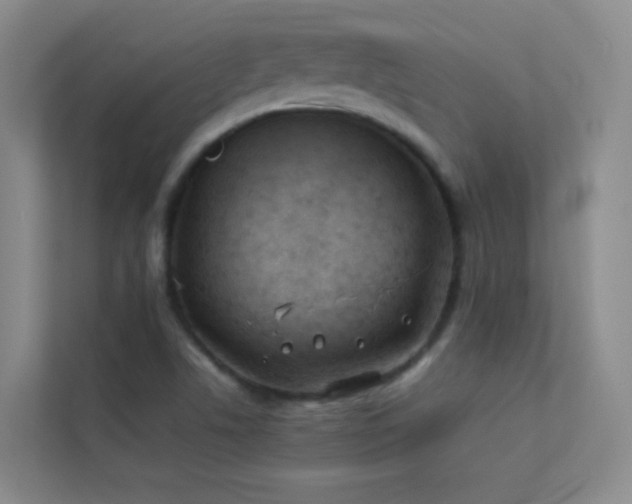 X0000113891506200909241406