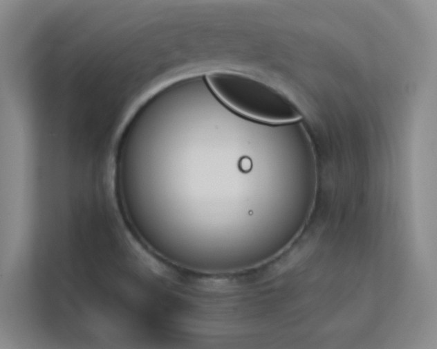 X0000113891508200909241406