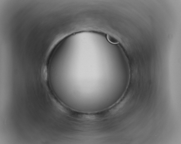 X0000113891509200909241406