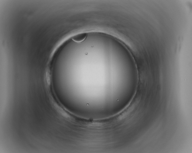 X0000113891510200909241406