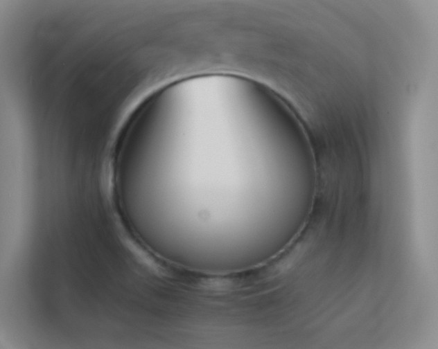 X0000113891511200909241406