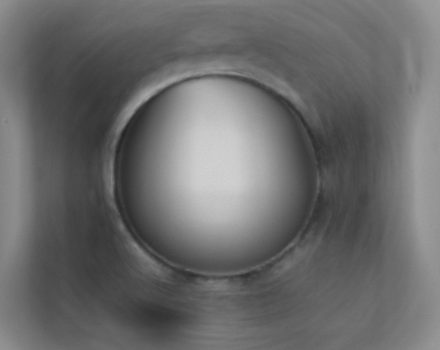 X0000113891512200909241406