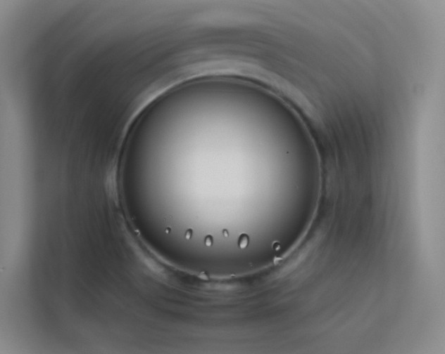 X0000113891513200909241406