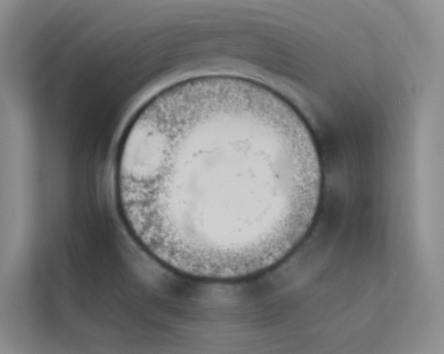 X0000113891514200909241406