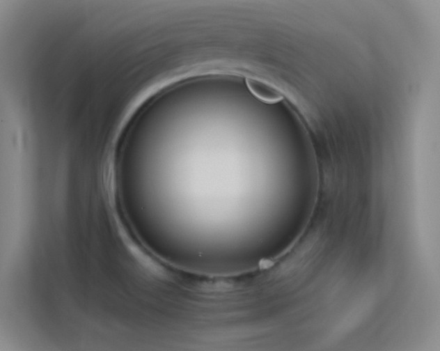 X0000113891515200909241406