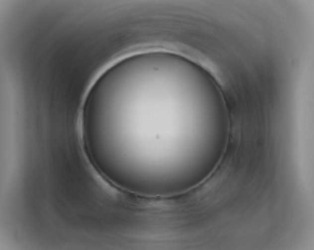 X0000113891516200909241406