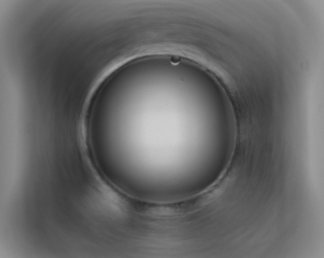 X0000113891517200909241406