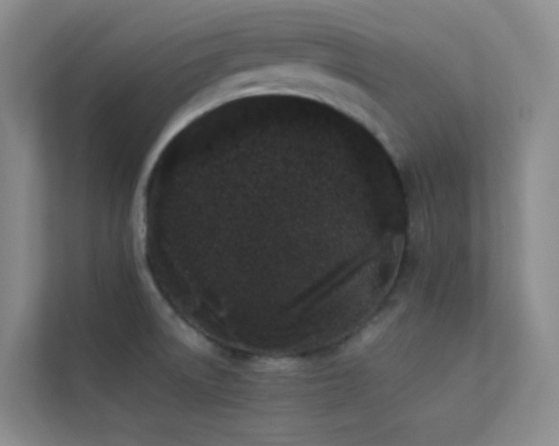 X0000113891522200909241406