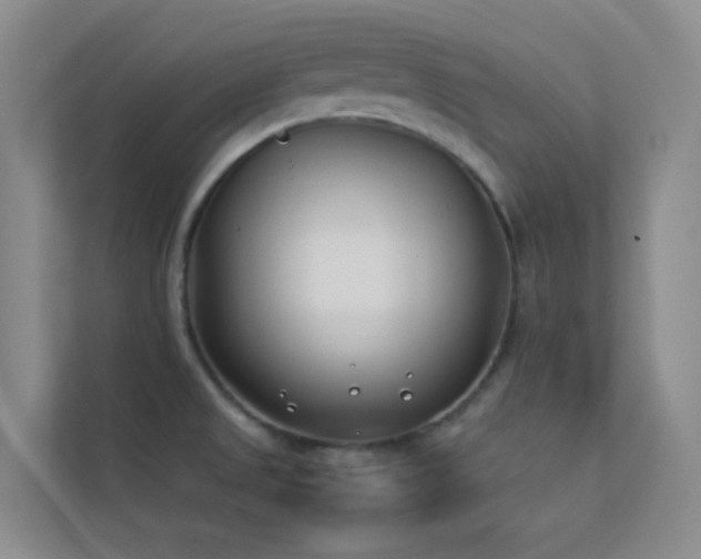 X0000113891525200909241406