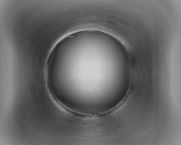 X0000113891526200909241406