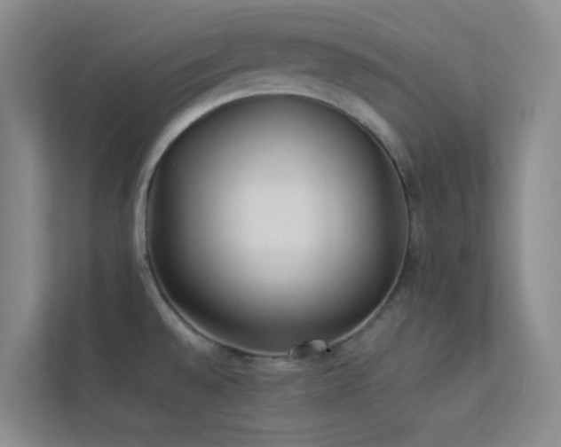 X0000113891528200909241406