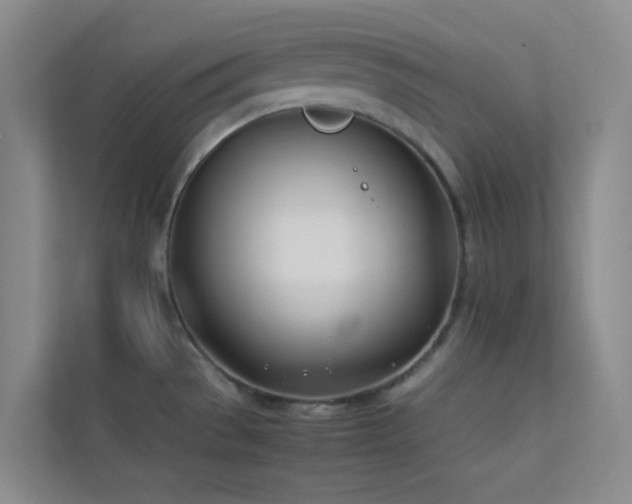 X0000113891529200909241406
