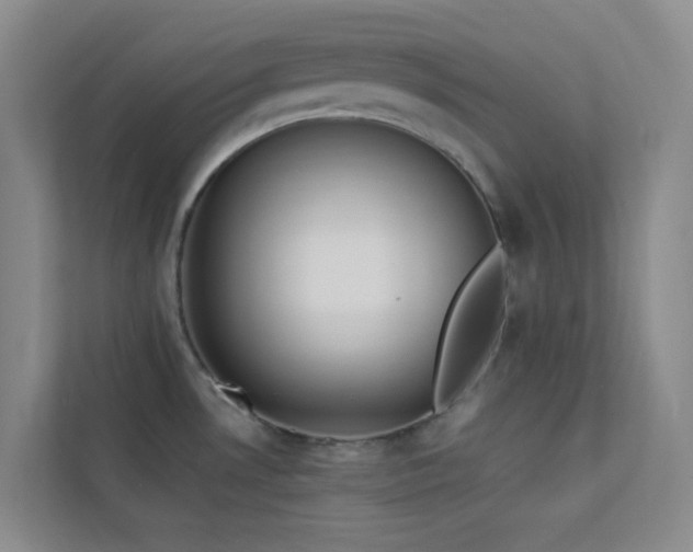 X0000113891530200909241406