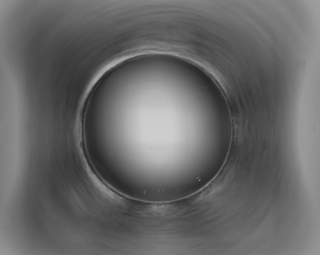 X0000113891531200909241406