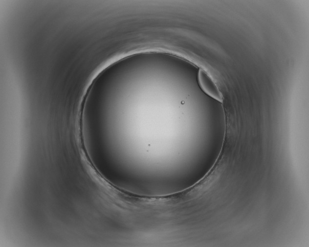 X0000113891534200909241406
