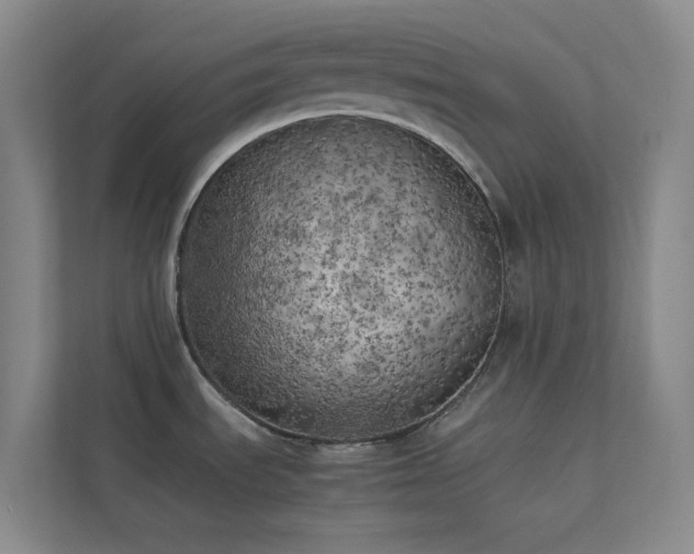 X0000113891535200909241406
