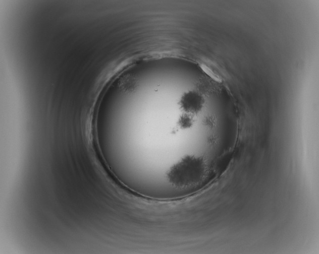 X0000113890002200910011332