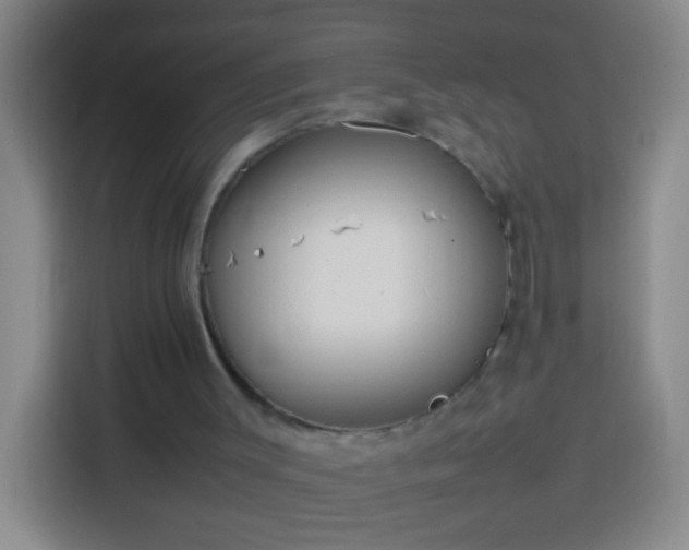 X0000113890003200910011332