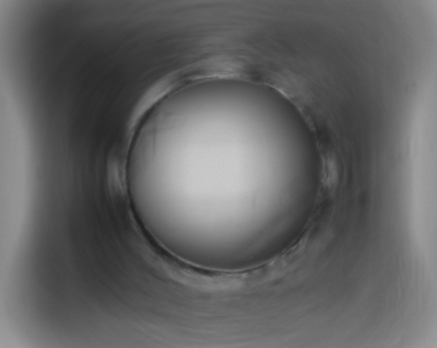 X0000113890004200910011332