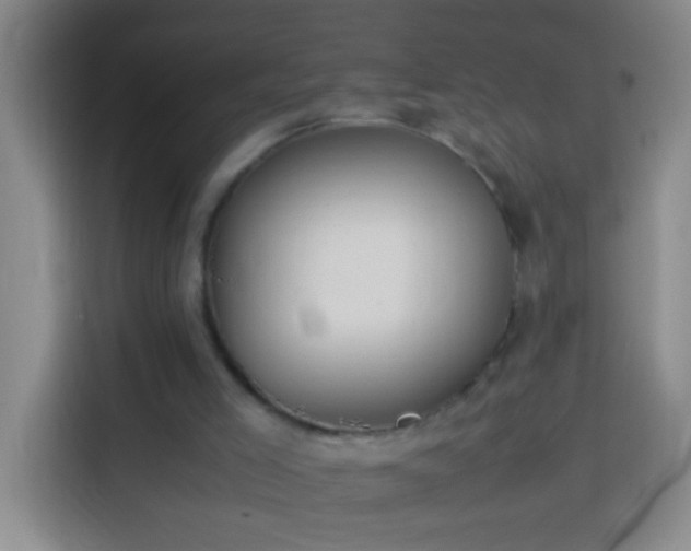 X0000113890005200910011332