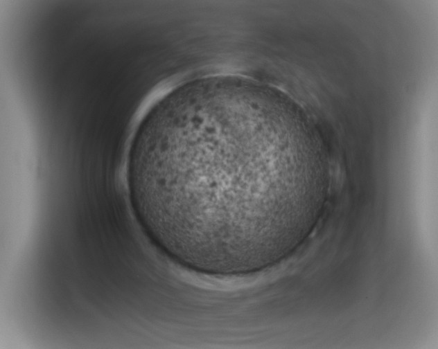X0000113890006200910011332