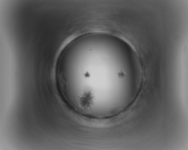 X0000113890008200910011332