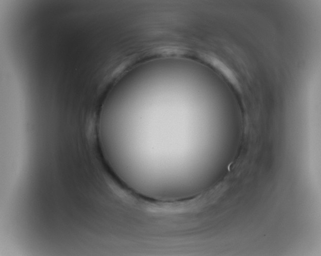 X0000113890009200910011332