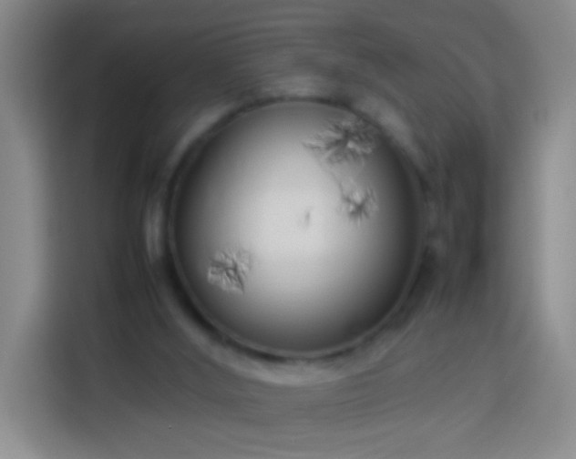 X0000113890012200910011332