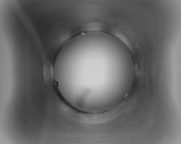 X0000113890013200910011332