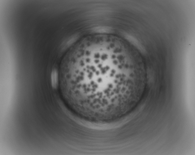 X0000113890014200910011332