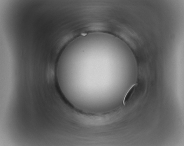 X0000113890015200910011332